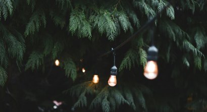Jak dobrać oświetlenie ogrodowe Smart do swojego ogrodu?